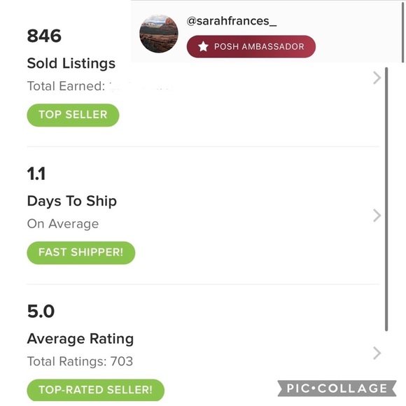 🚫SOLD🚫🦄 new portland leather • peacock large tote - Picture 10 of 10